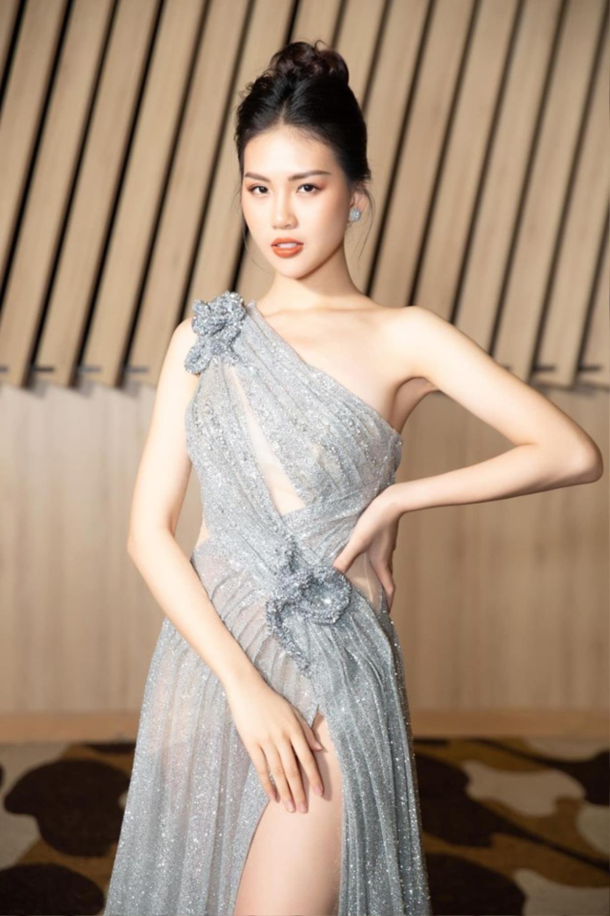 Sau giải Vàng Siêu mẫu Việt Nam, Bùi Quỳnh Hoa - học trò Hương Giang thi Miss Earth 2019? Ảnh 1