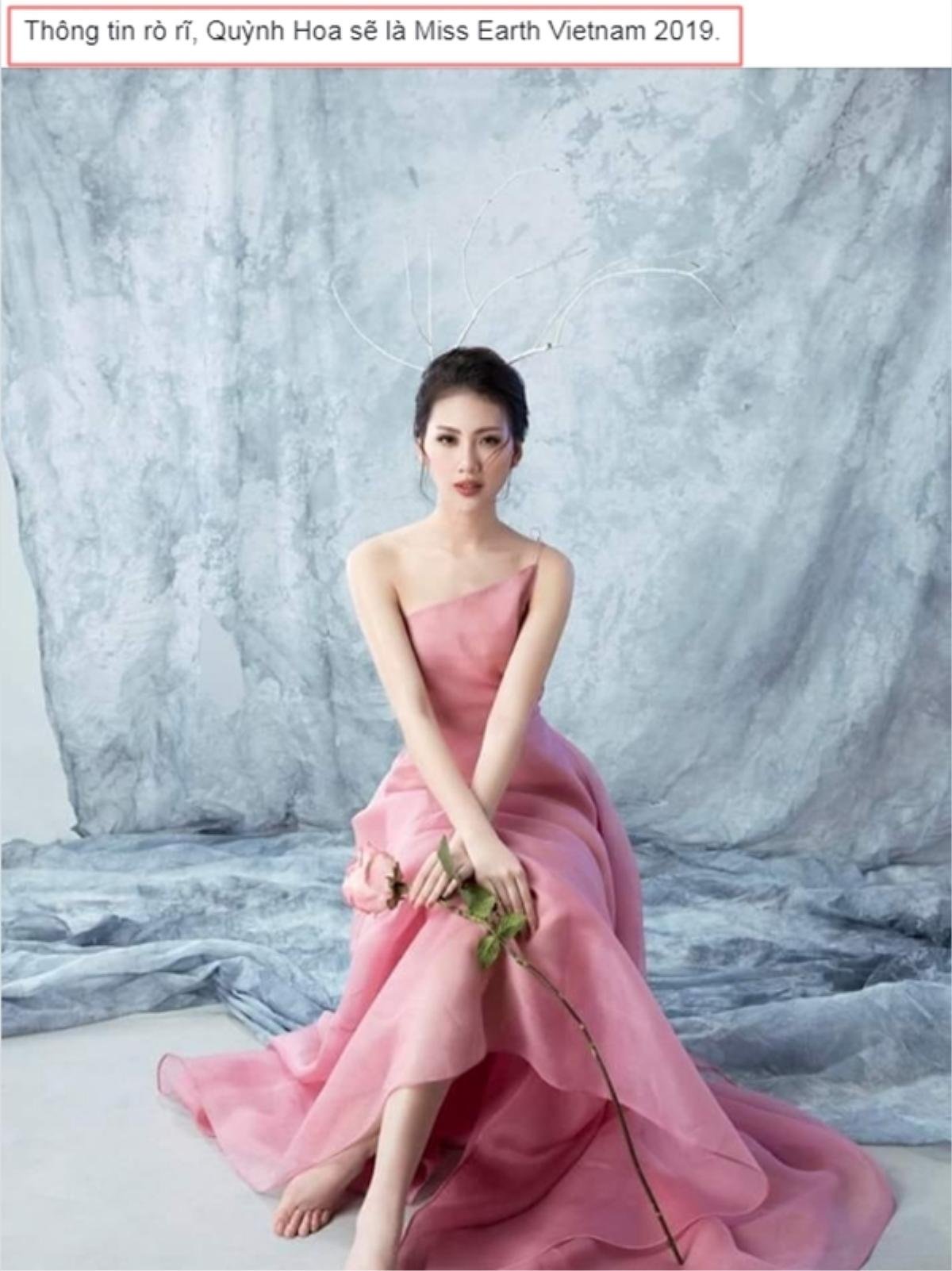 Sau giải Vàng Siêu mẫu Việt Nam, Bùi Quỳnh Hoa - học trò Hương Giang thi Miss Earth 2019? Ảnh 2