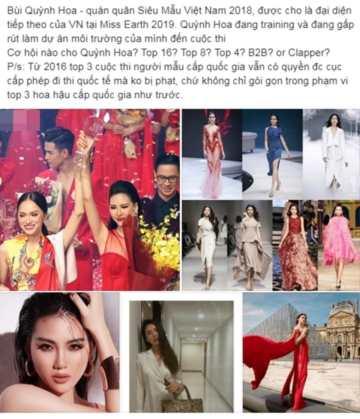 Sau giải Vàng Siêu mẫu Việt Nam, Bùi Quỳnh Hoa - học trò Hương Giang thi Miss Earth 2019? Ảnh 3