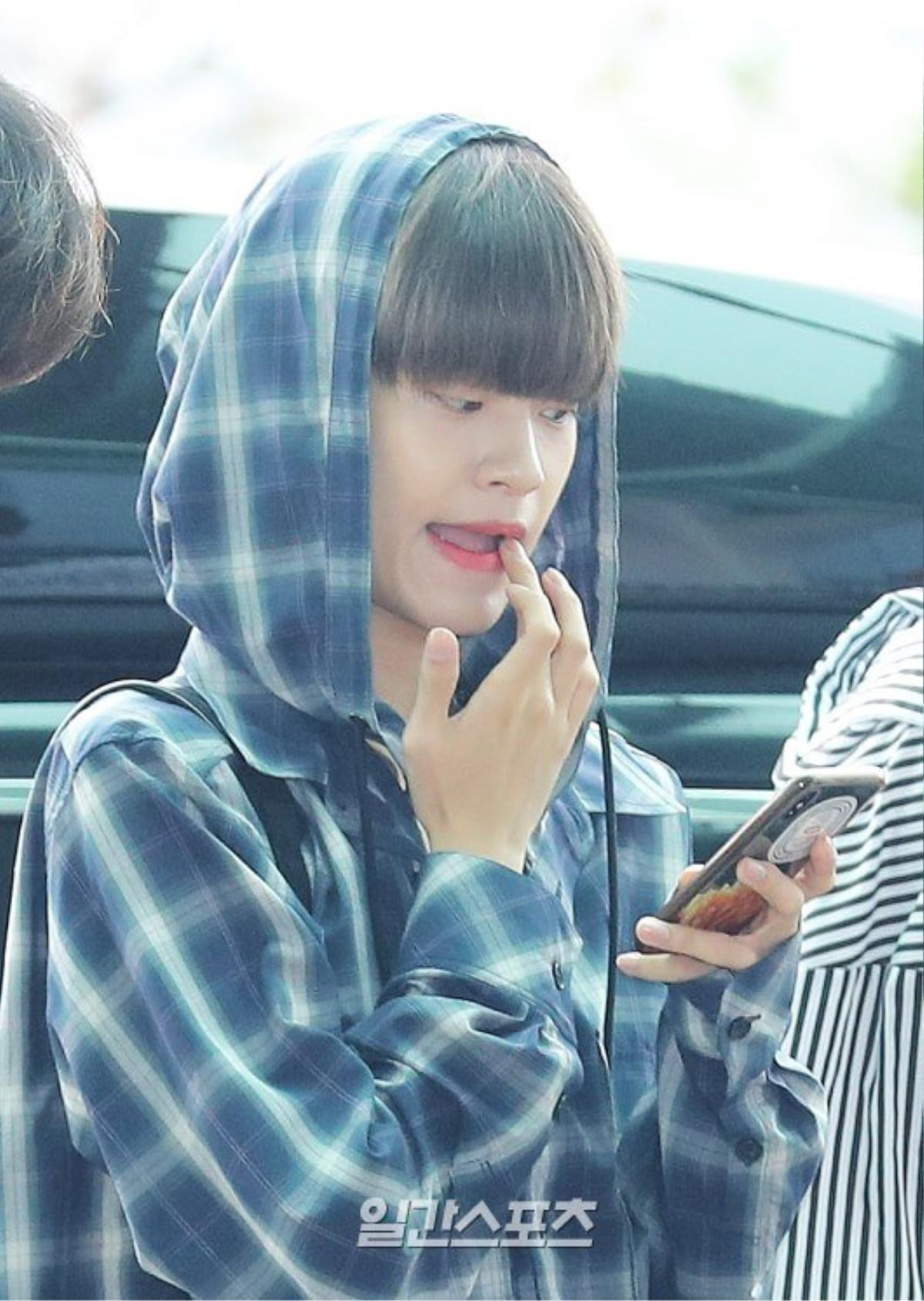 Perth của 'Tình cờ yêu' được truyền thông Hàn chào đón, Lee Daehwi như cô bé lọ lem, Hwang Minhyun tựa hoàng tử Ảnh 17