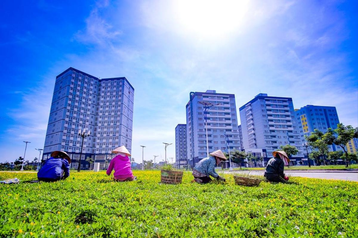 Quy mô hoành tráng của Ký túc xá ĐHQG TPHCM, 'ngôi nhà lớn' với hơn 10.000 nơi lưu trú chào đón tân sinh viên trong năm học mới Ảnh 4