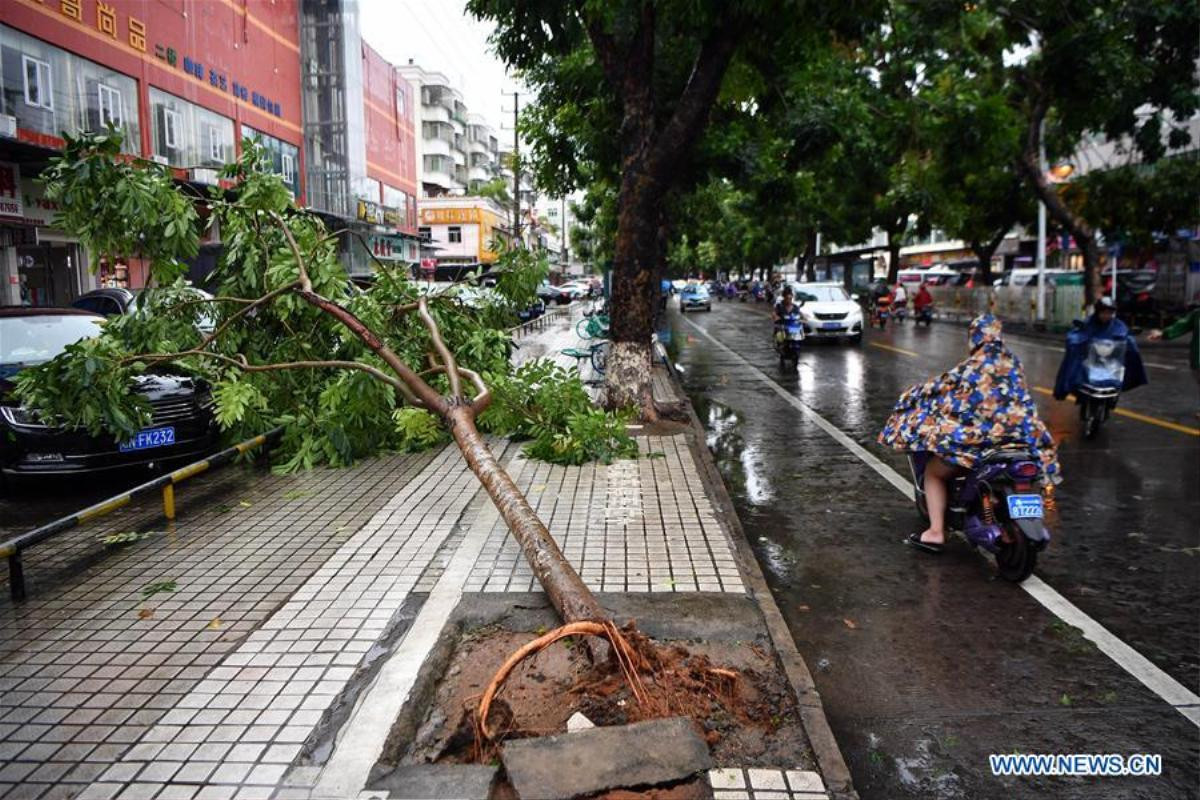 Bão Wipha độ bổ, đường phố Trung Quốc biến thành sông Ảnh 3