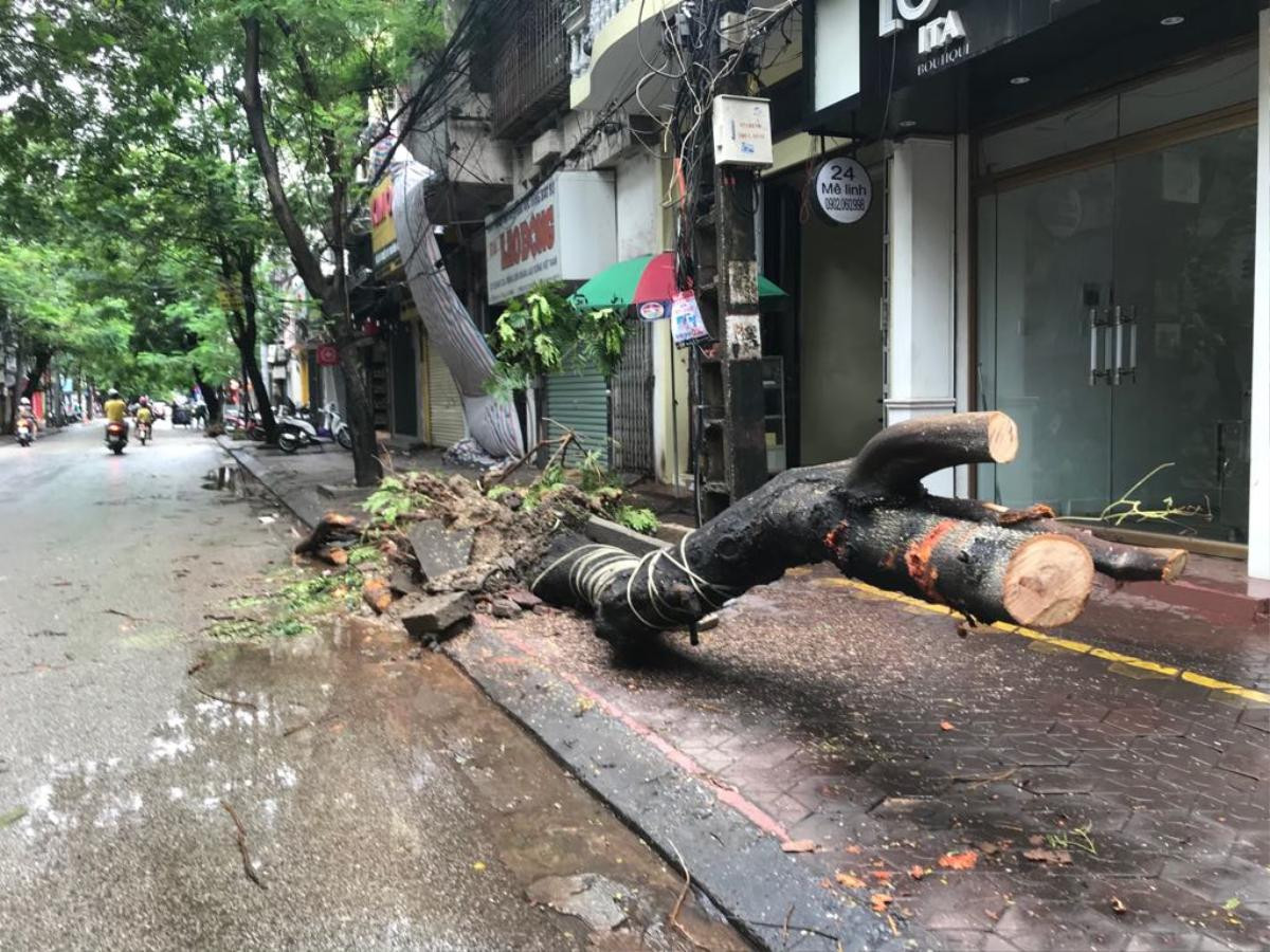 Mưa gió lớn sau bão số 3, nhiều cây xanh ở Hải Phòng bị quật đổ, đường ngập sâu Ảnh 8