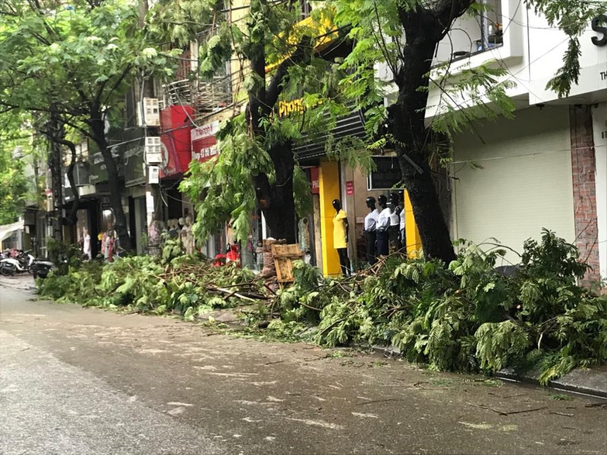 Mưa gió lớn sau bão số 3, nhiều cây xanh ở Hải Phòng bị quật đổ, đường ngập sâu Ảnh 10