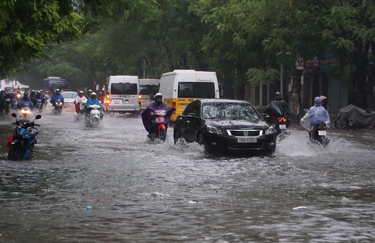 Mưa gió lớn sau bão số 3, nhiều cây xanh ở Hải Phòng bị quật đổ, đường ngập sâu Ảnh 1