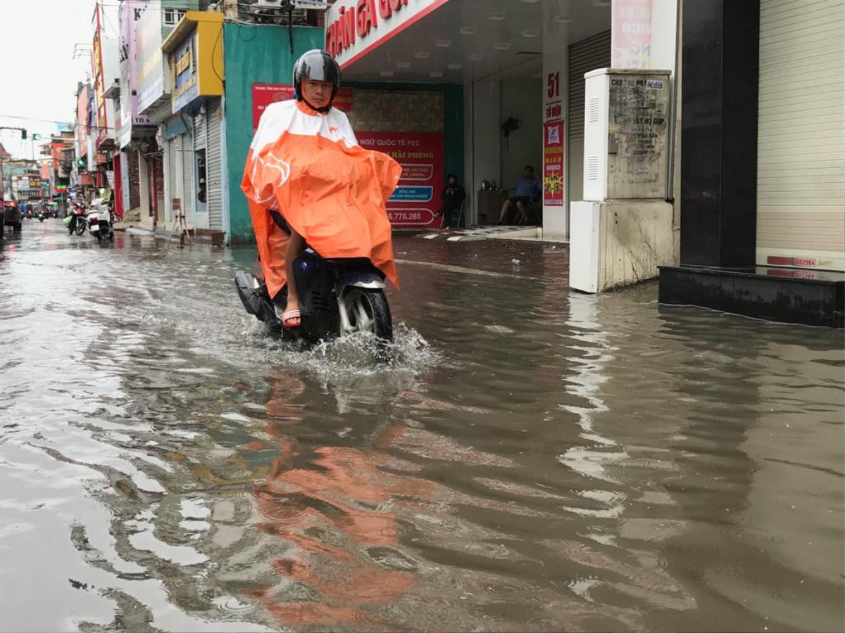 Mưa gió lớn sau bão số 3, nhiều cây xanh ở Hải Phòng bị quật đổ, đường ngập sâu Ảnh 5