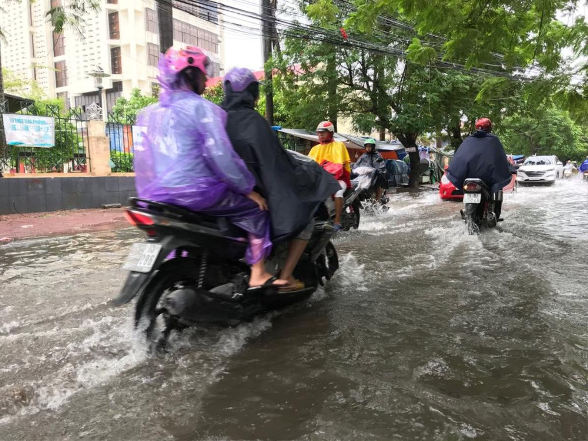 Mưa gió lớn sau bão số 3, nhiều cây xanh ở Hải Phòng bị quật đổ, đường ngập sâu Ảnh 4