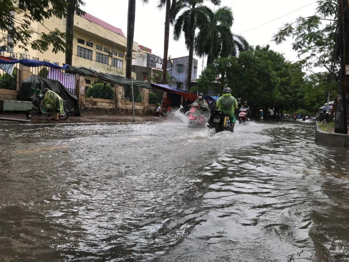 Mưa gió lớn sau bão số 3, nhiều cây xanh ở Hải Phòng bị quật đổ, đường ngập sâu Ảnh 3