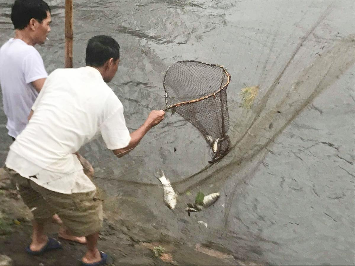 Người Hà Nội mang vó, buông cần câu ra sông đánh bắt hàng chục cân cá sau bão số 3 Ảnh 3