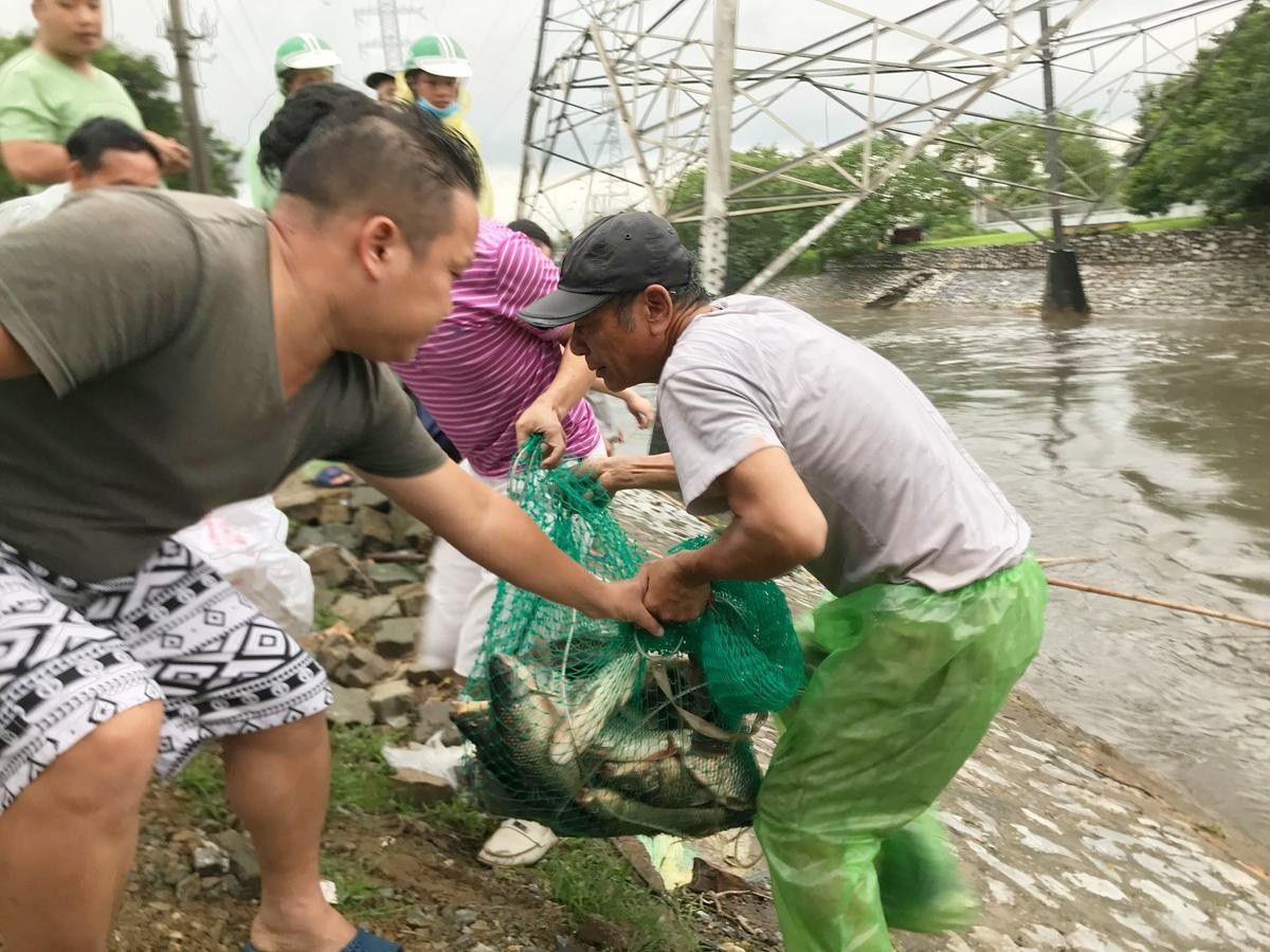 Người Hà Nội mang vó, buông cần câu ra sông đánh bắt hàng chục cân cá sau bão số 3 Ảnh 4