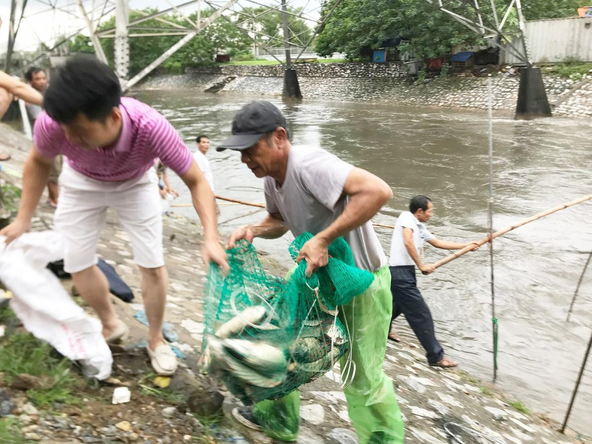 Người Hà Nội mang vó, buông cần câu ra sông đánh bắt hàng chục cân cá sau bão số 3 Ảnh 5