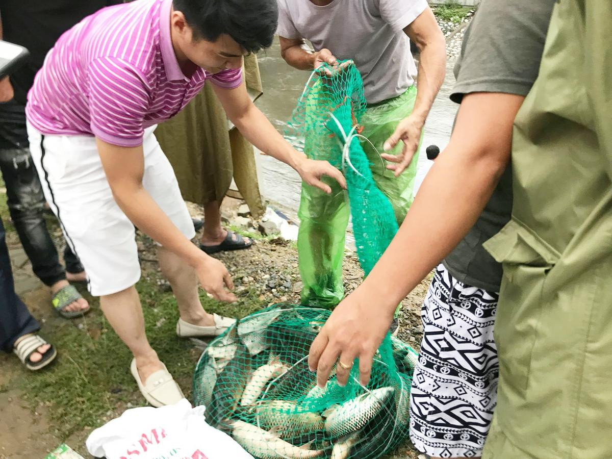 Người Hà Nội mang vó, buông cần câu ra sông đánh bắt hàng chục cân cá sau bão số 3 Ảnh 6