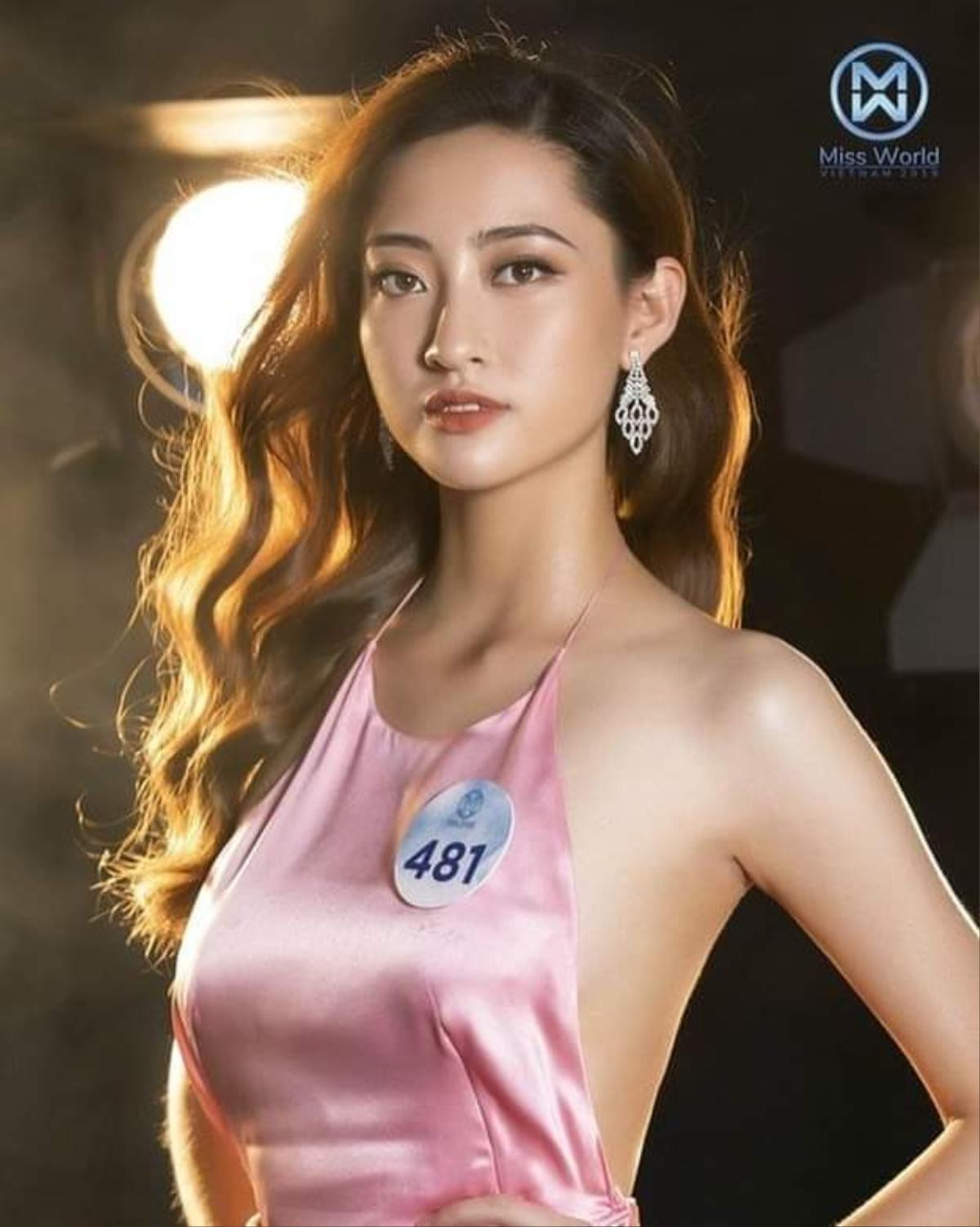 Soi nhan sắc tân hoa hậu Miss World Việt Nam 2019 Lương Thùy Linh, vừa đăng quang đã là bản sao của Đỗ Mỹ Linh Ảnh 9