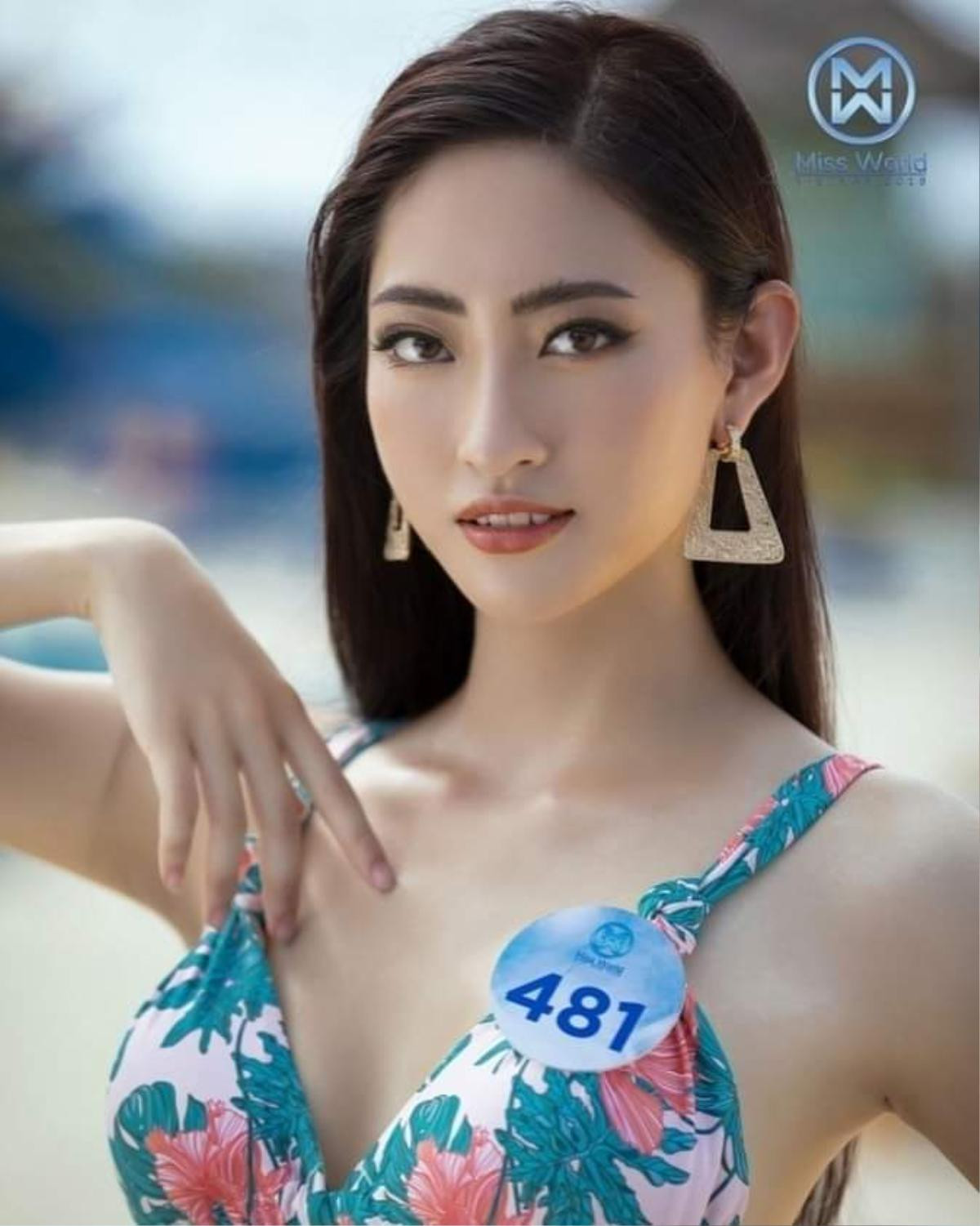 Soi nhan sắc tân hoa hậu Miss World Việt Nam 2019 Lương Thùy Linh, vừa đăng quang đã là bản sao của Đỗ Mỹ Linh Ảnh 4