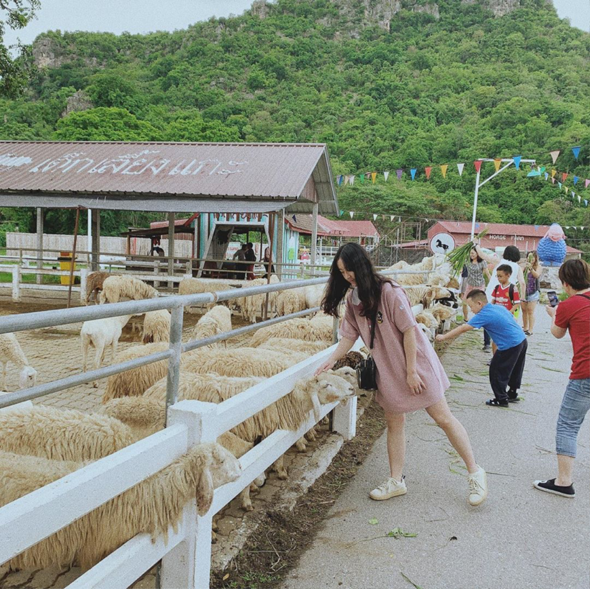 Sống ảo liền tay với 6 địa điểm check-in gây 'bão' tại Thái Lan Ảnh 26