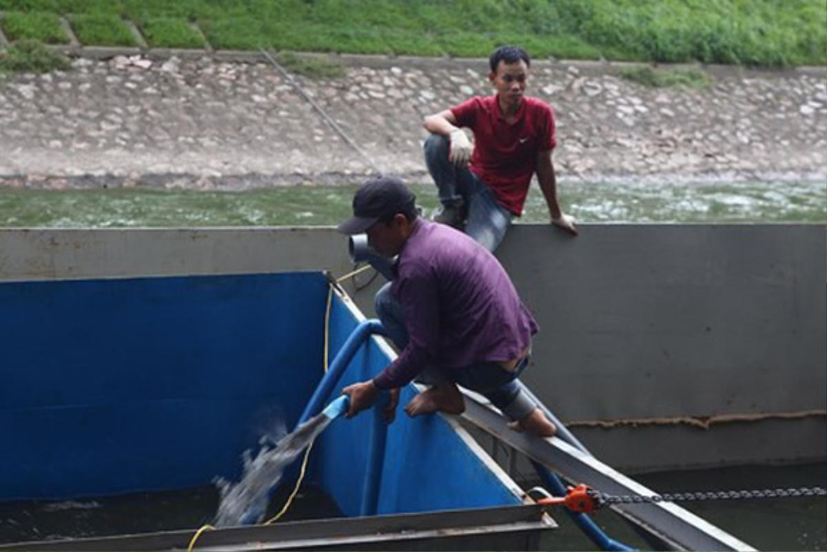 Chuyên gia Nhật sắp tắm nước sông Tô Lịch cho mọi người xem Ảnh 5