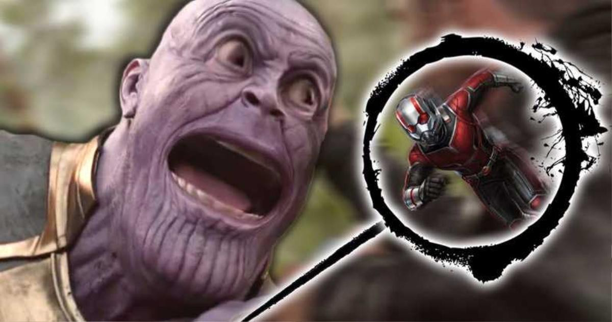 Avengers: Endgame: Kế hoạch cực bựa để Ant Man một mình hạ bệ Thanos Ảnh 3