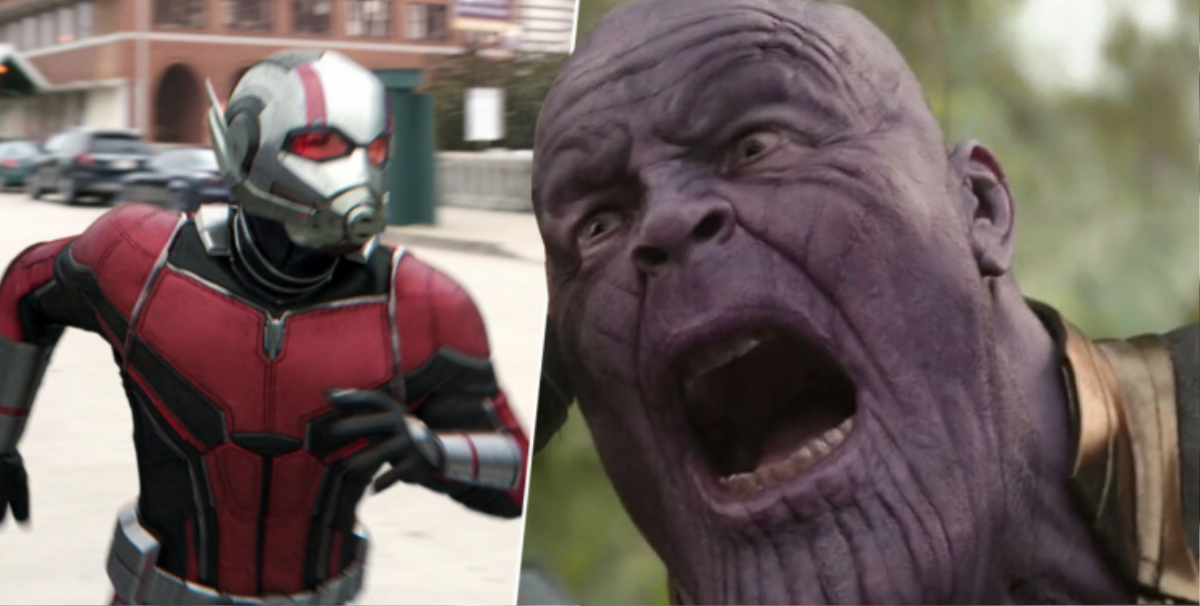 Avengers: Endgame: Kế hoạch cực bựa để Ant Man một mình hạ bệ Thanos Ảnh 2