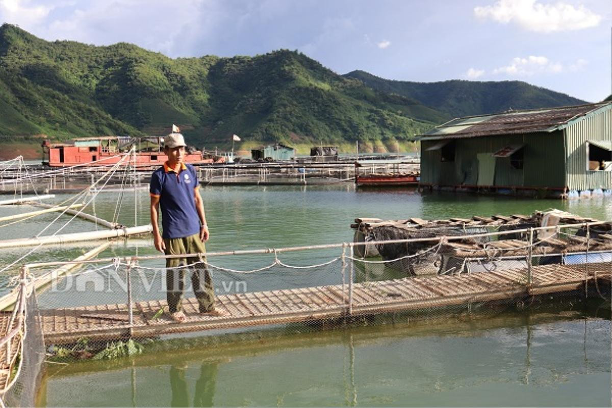 Ra giữa lòng hồ thủy điện Sơn La xem ngồn ngộn cá 'tàu ngầm' Ảnh 4