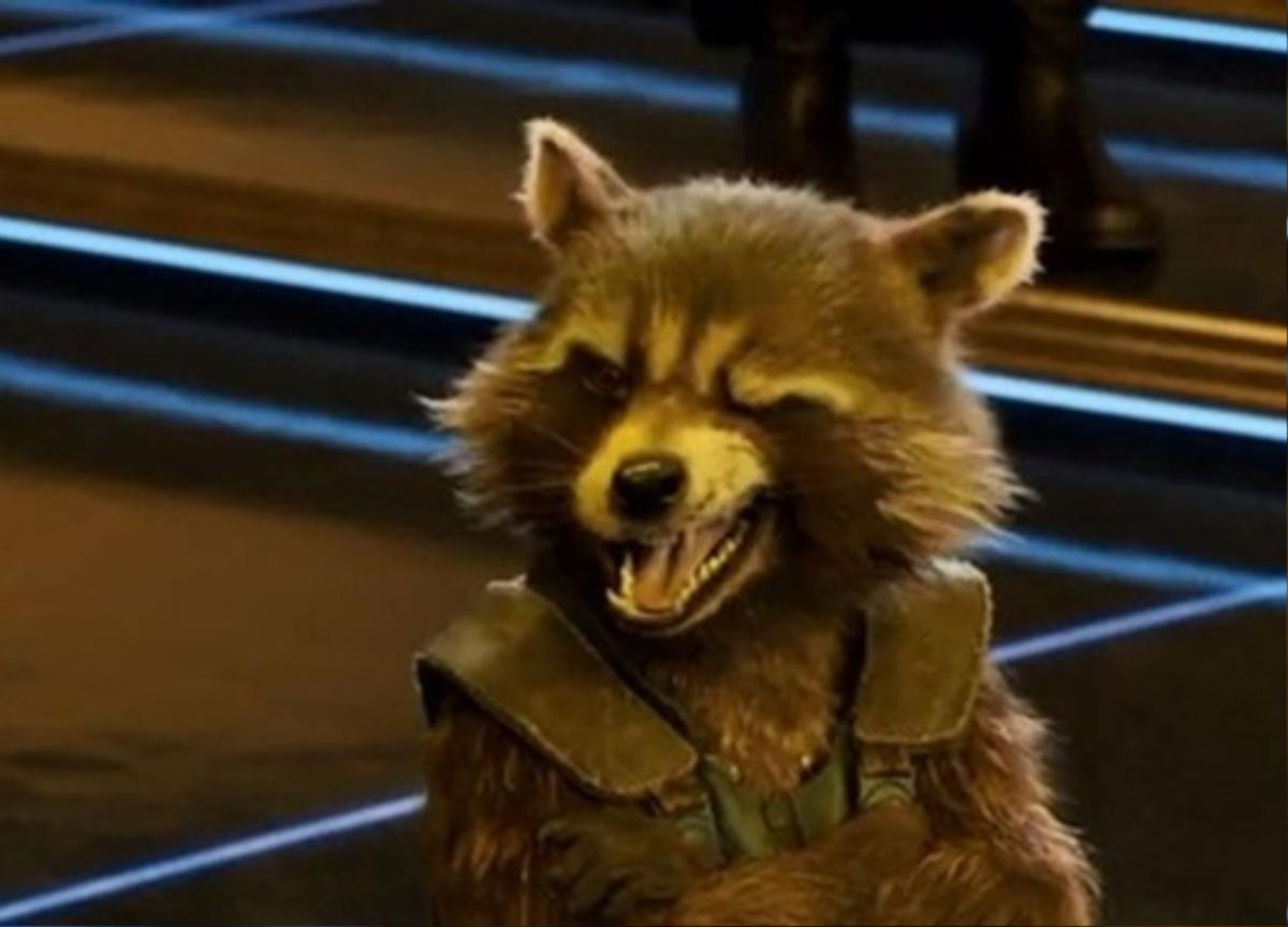 Rocket Raccoon: Từ kẻ trộm vặt nghiệp ngập trở thành một Avenger bảo vệ toàn vũ trụ Ảnh 2