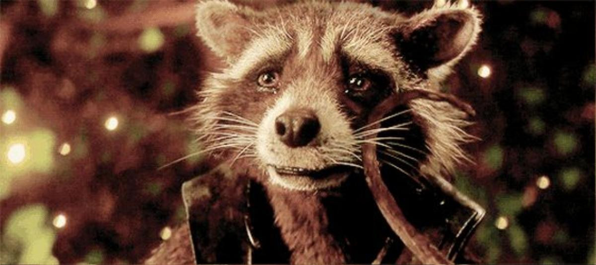 Rocket Raccoon: Từ kẻ trộm vặt nghiệp ngập trở thành một Avenger bảo vệ toàn vũ trụ Ảnh 7