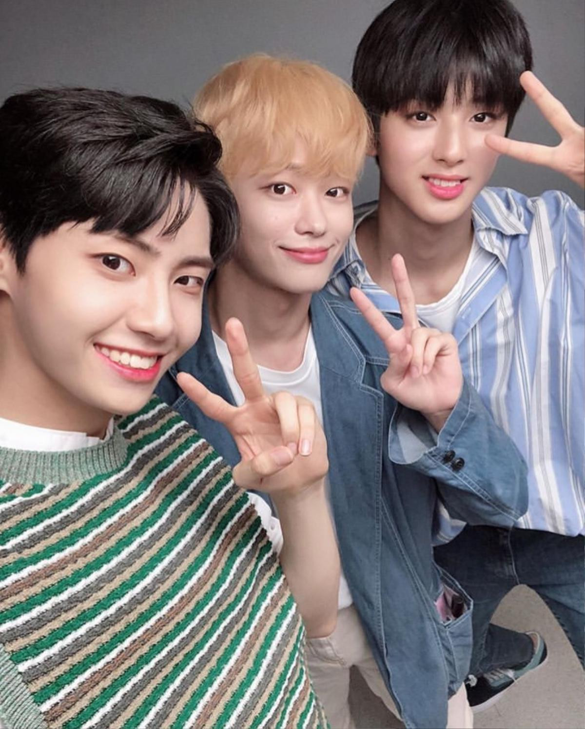 Produce X 101: Kim Min Kyu dự họp fan của Lee Jin Hyuk, Kim Woo Seok (X1) gửi video nhắn nhủ xúc động Ảnh 7