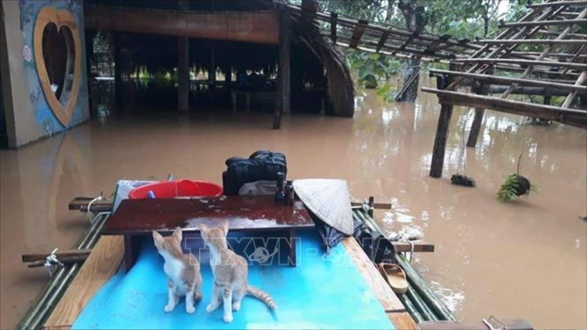 2 người tử vong, thiệt hại hàng trăm tỉ đồng do mưa lũ ở Đồng Nai Ảnh 2