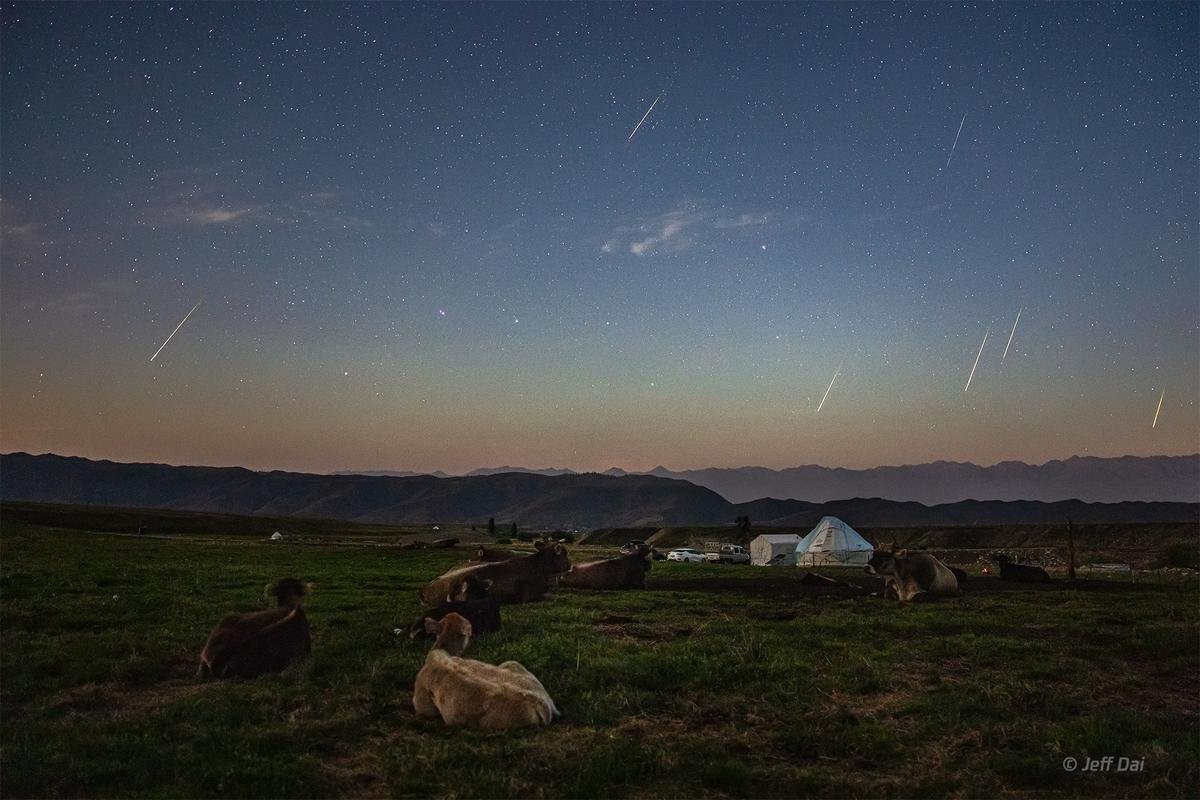 Mãn nhãn trước hình ảnh mưa sao băng Perseid tuyệt đẹp trên khắp thế giới Ảnh 5