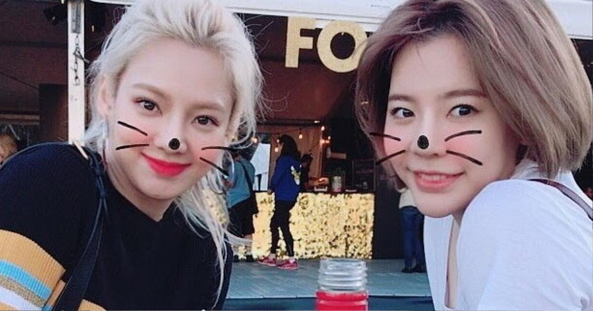 Hyoyeon chia sẻ về cuộc tái hợp gần nhất của SNSD, lần đầu hé lộ những câu chuyện 'động trời' trong group chat bí mật Ảnh 3