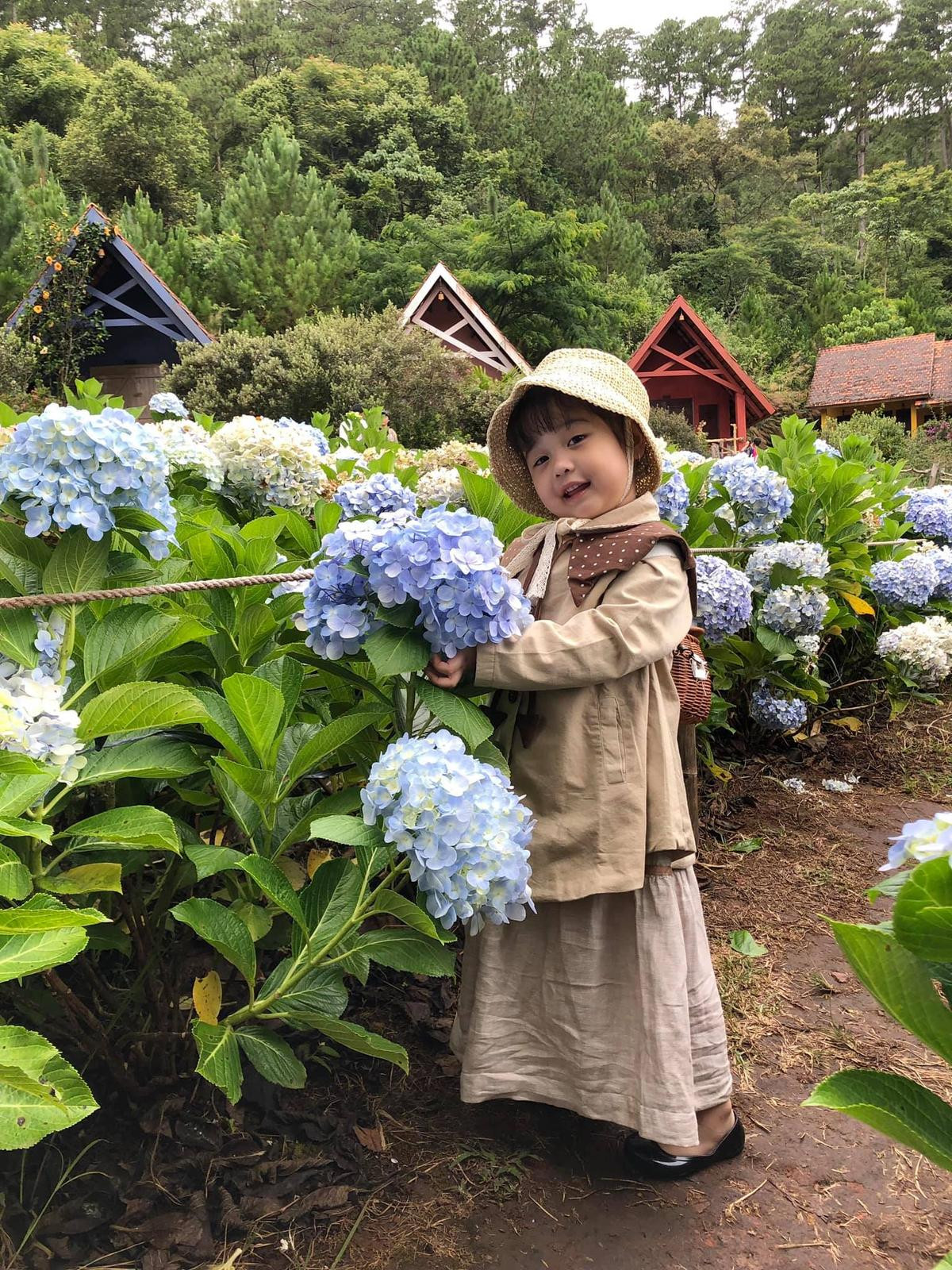 Bé gái 3 tuổi rưỡi tạo dáng 'check in' Đà Lạt siêu dễ thương, khiến dân tình kháo nhau 'Đẻ con gái đi!' Ảnh 5