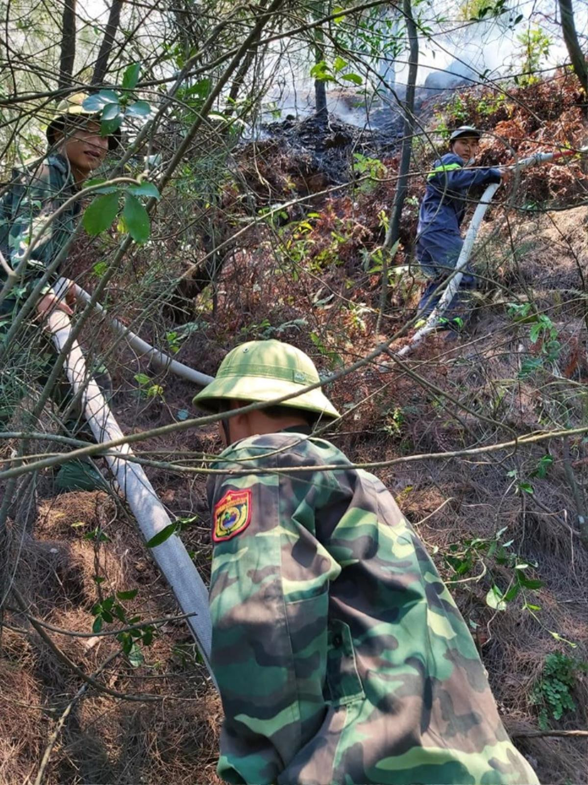 Nghi dân đốt vàng mã rằm tháng 7 gây cháy rừng ở Nghệ An Ảnh 4