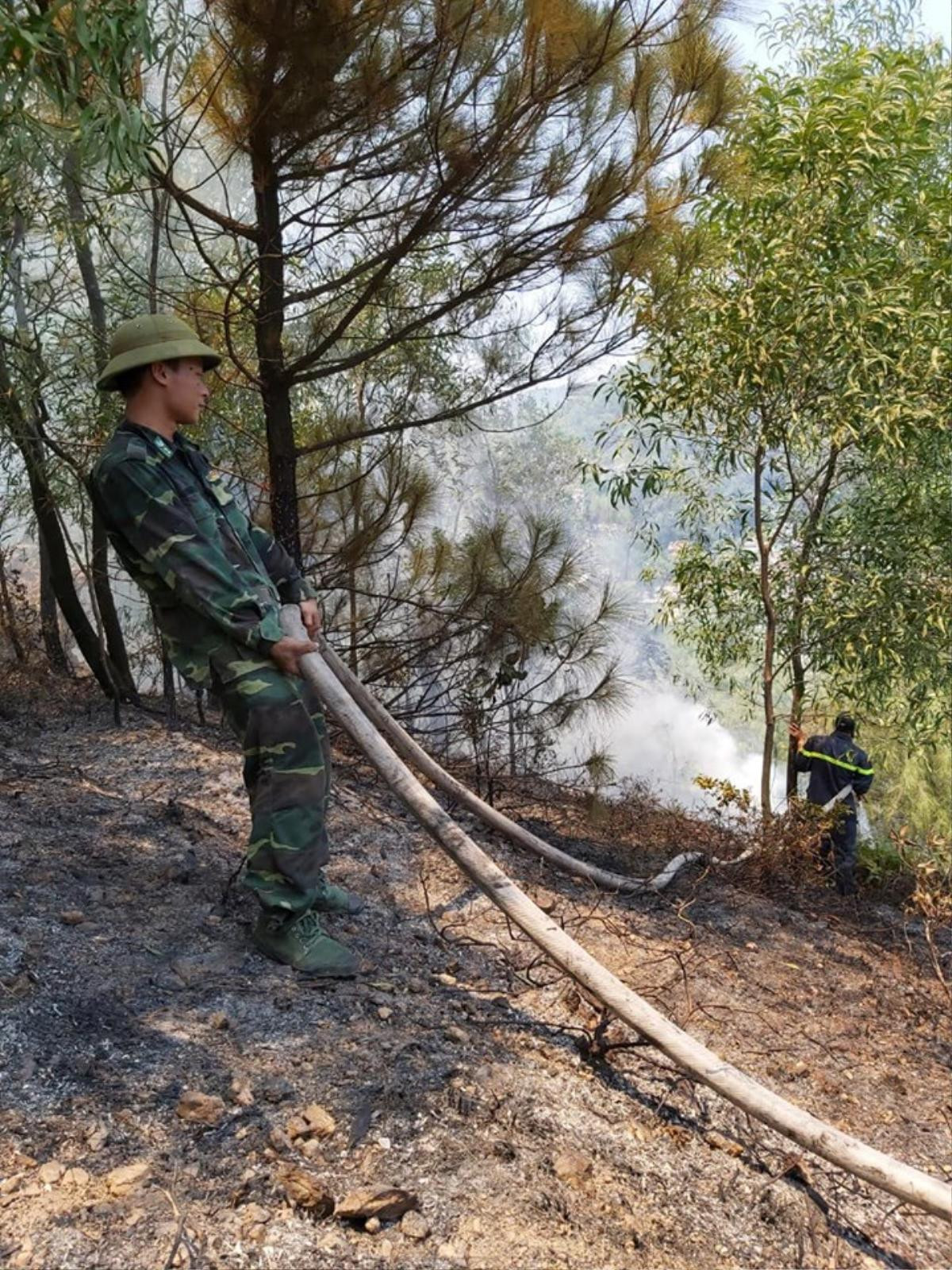 Nghi dân đốt vàng mã rằm tháng 7 gây cháy rừng ở Nghệ An Ảnh 5