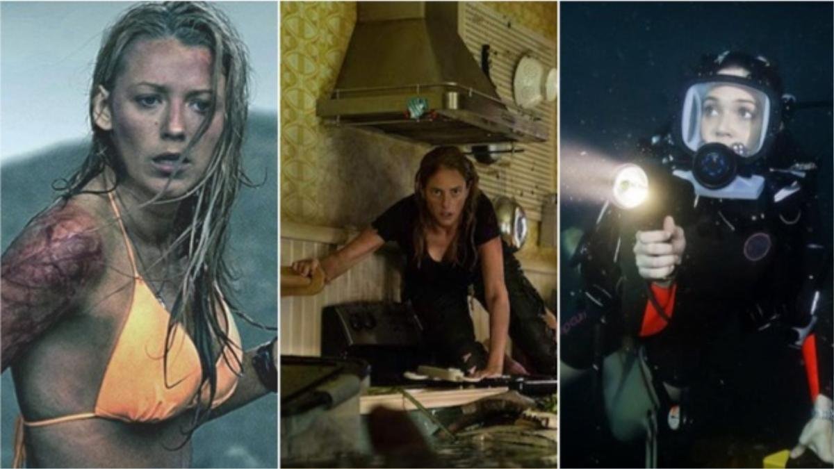 'The Shallows', '47 Meters Down' và 'Crawl': Những cái nhìn khác nhau về dòng phim kinh dị sinh tồn Ảnh 1