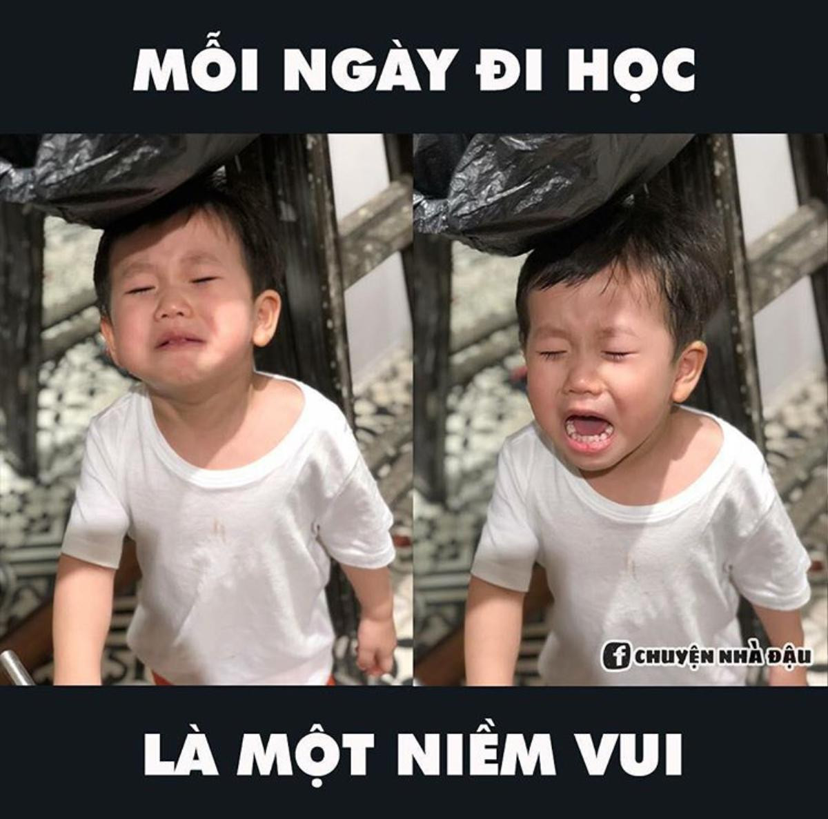 Dàn hot baby đáng yêu hết nấc của các ông bố, bà mẹ Việt siêu chất đang khiến cộng đồng mạng điên đảo Ảnh 3