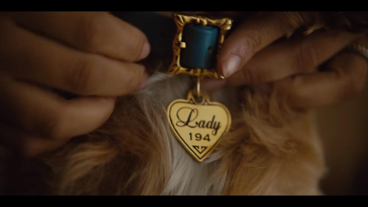 ‘Lady and the Tramp’ tung trailer giới thiệu hình ảnh đầu tiên về  bản live-action chuyện tình lãng mạn của Disney Ảnh 3