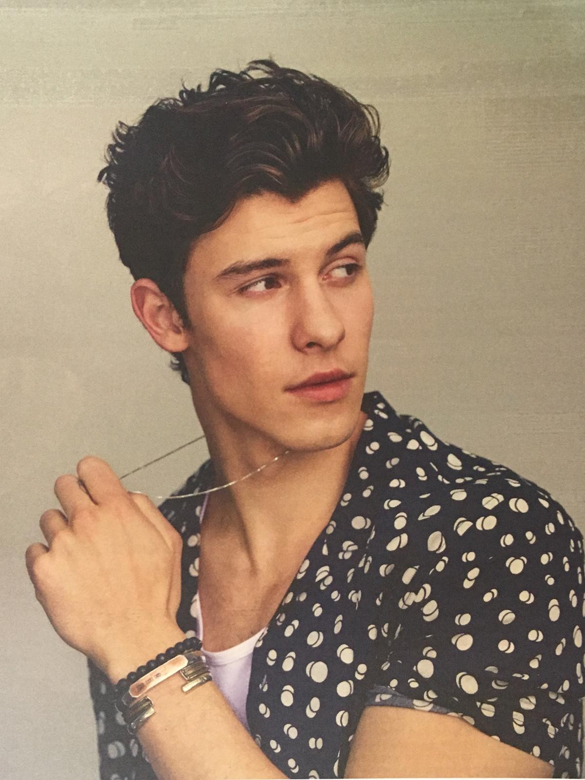 Shawn Mendes bất ngờ bị cộng đồng mạng ném đá vì có hành động kì thị LGBT Ảnh 2