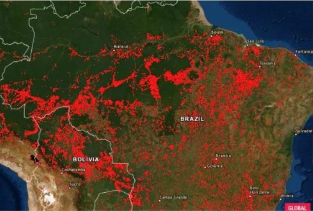 Cháy rừng Amazon: Cứ mỗi phút trôi qua, diện tích rừng ngang 3 sân bóng bị thiêu rụi Ảnh 1
