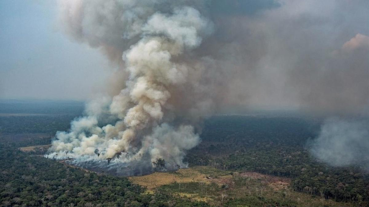 Cháy rừng Amazon: Brazil triển khai binh sĩ, máy bay chiến đấu dập lửa trước sức ép quá lớn từ thế giới Ảnh 2