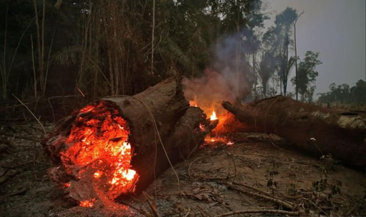 'Ngọn đuốc' rừng Amazon hừng hực cháy hơn nửa tháng, một nửa lãnh thổ Brazil chìm trong biển khói mịt mù Ảnh 9