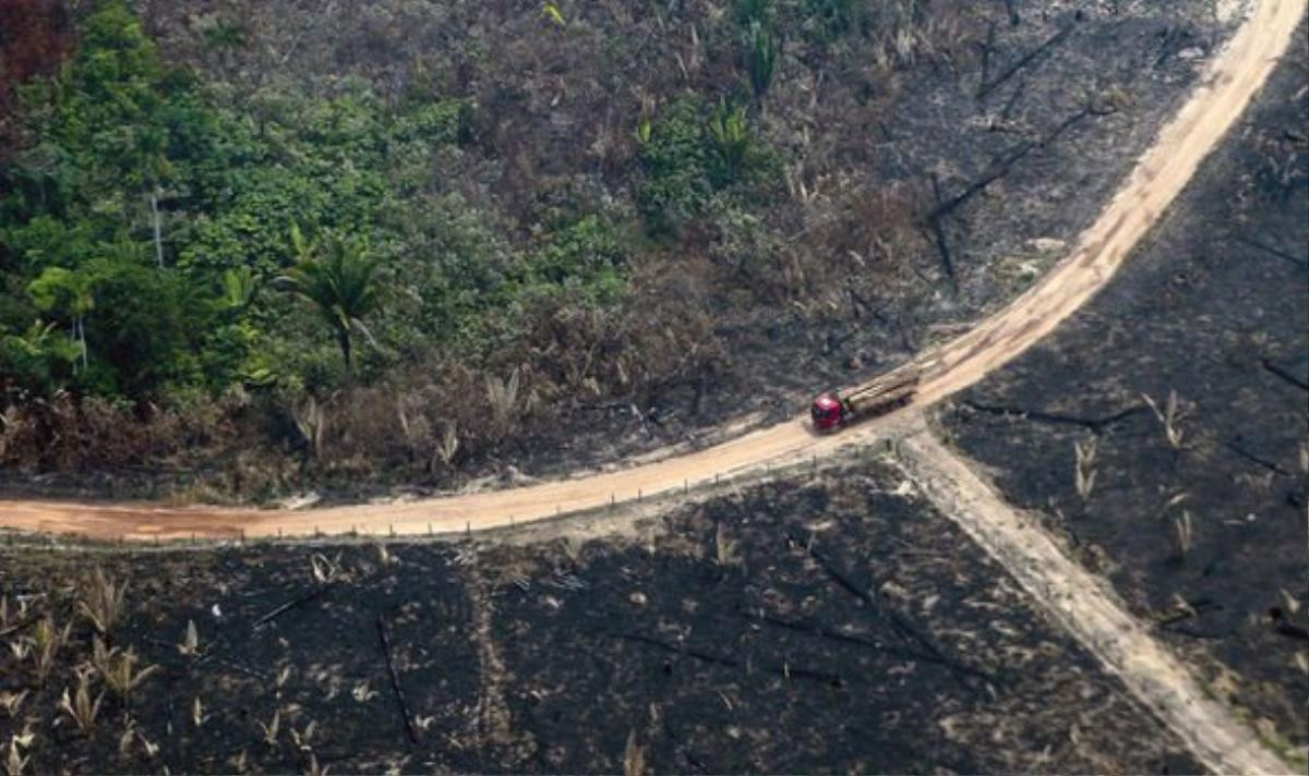 'Ngọn đuốc' rừng Amazon hừng hực cháy hơn nửa tháng, một nửa lãnh thổ Brazil chìm trong biển khói mịt mù Ảnh 2