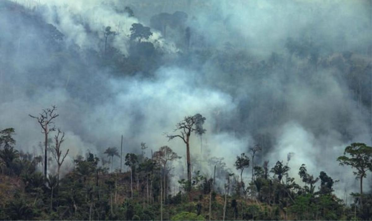 'Ngọn đuốc' rừng Amazon hừng hực cháy hơn nửa tháng, một nửa lãnh thổ Brazil chìm trong biển khói mịt mù Ảnh 1