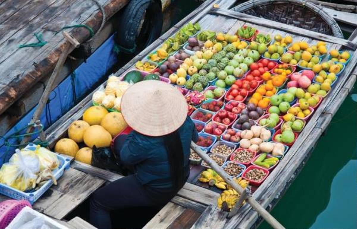 Cần Thơ lọt top 15 thành phố có kênh đào đẹp nhất thế giới Ảnh 12