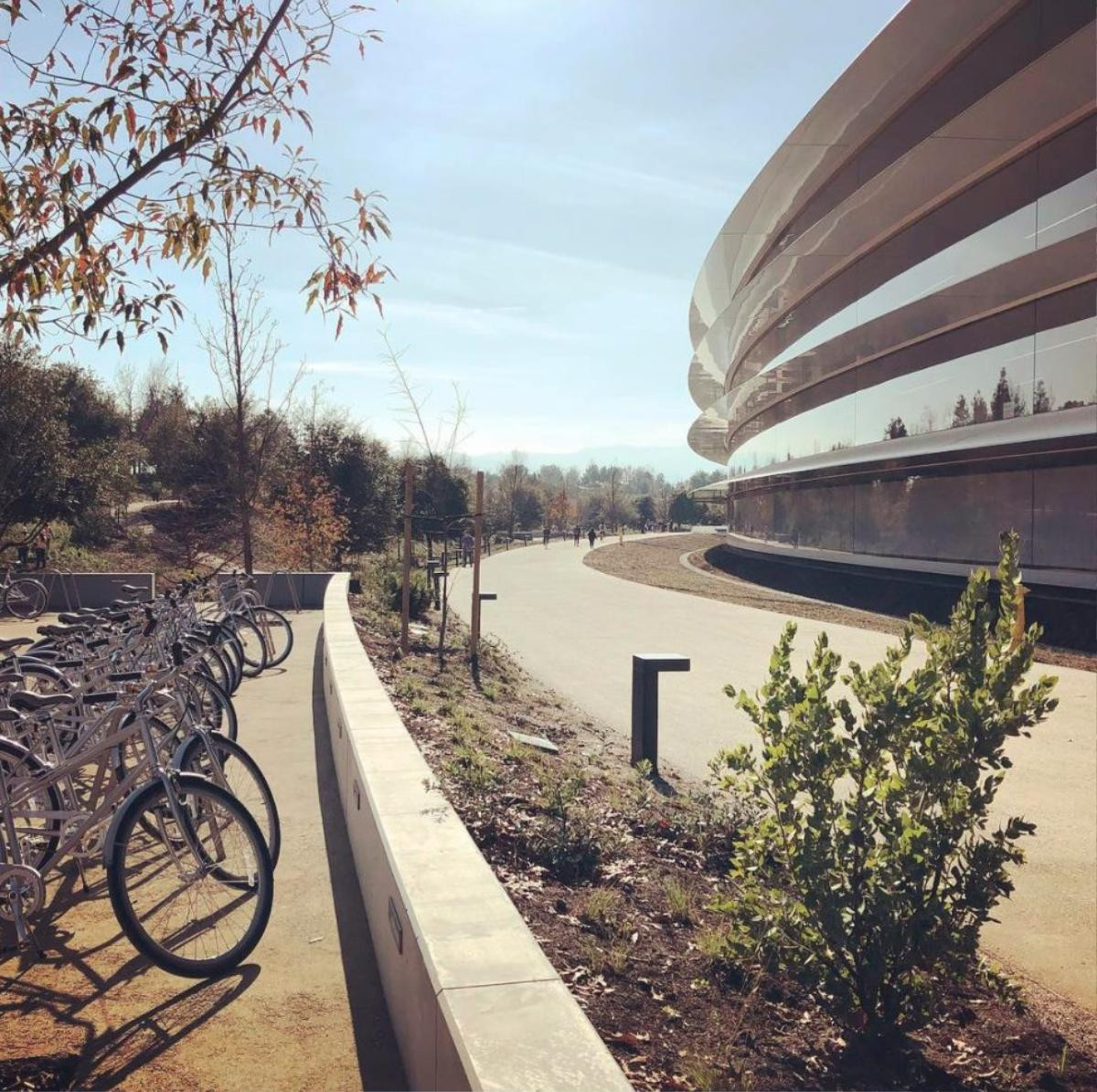 Apple Park