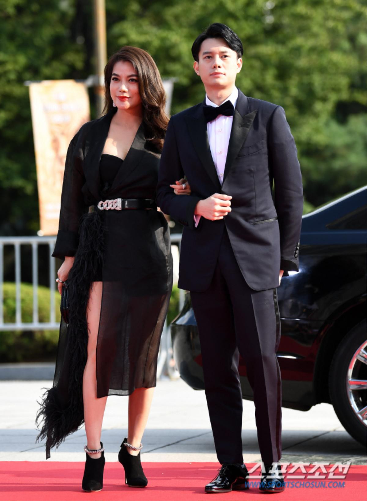 Thảm đỏ 'Seoul International Drama Awards 2019': Trương Ngọc Ánh - Anh Dũng đọ sắc Jang Nara và Ji Chang Wook Ảnh 6