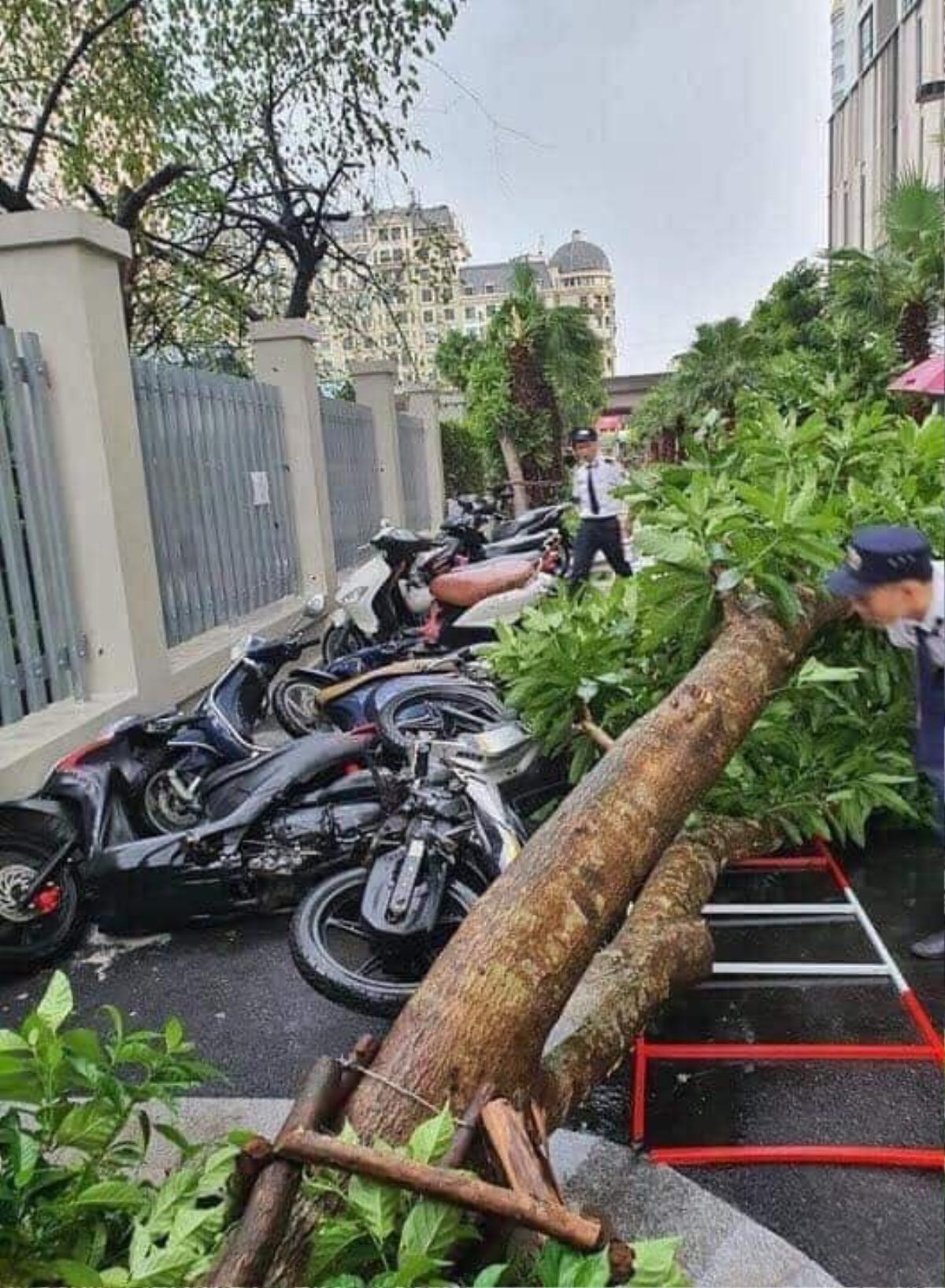 Nam thanh niên bị cây đè tử vong, nhiều người bị thương sau mưa giông kinh hoàng ở Hà Nội Ảnh 2