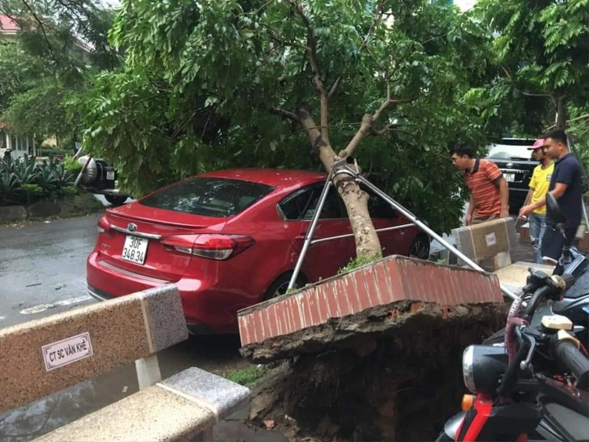 Nam thanh niên bị cây đè tử vong, nhiều người bị thương sau mưa giông kinh hoàng ở Hà Nội Ảnh 1