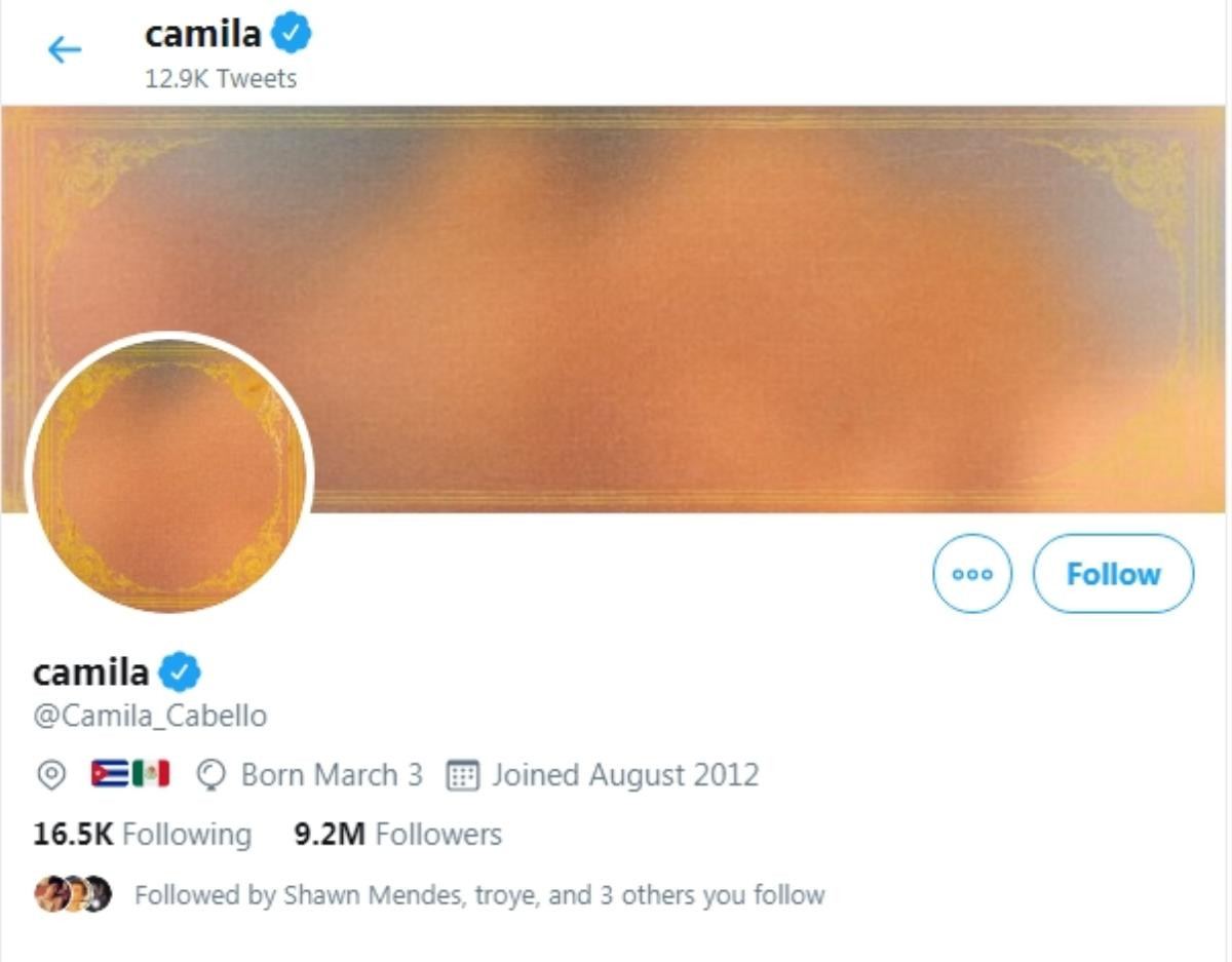 Camila Cabello thay đổi tất cả hình đại diện trên mạng xã hội: Một đế chế mới sắp bắt đầu? Ảnh 2