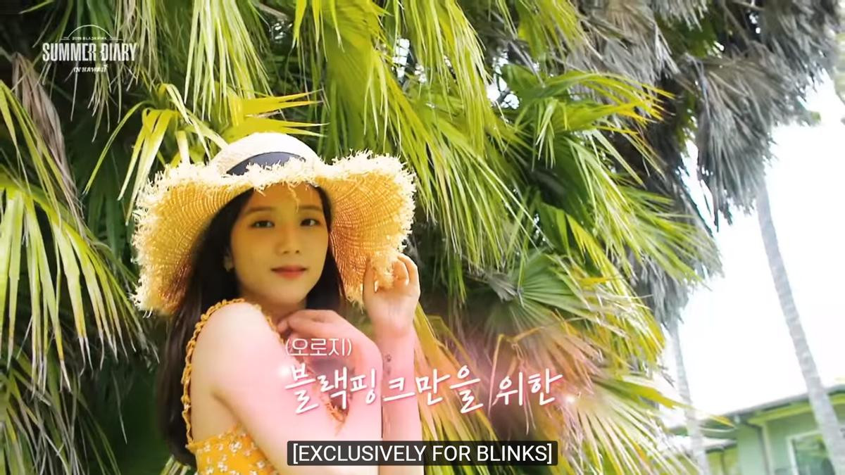 BlackPink hé lộ kỳ nghỉ tuyệt vời, 'tươi không cần tưới' trong '2019 BlackPink's Summer Diary (In Hawaii)' DVD Ảnh 11