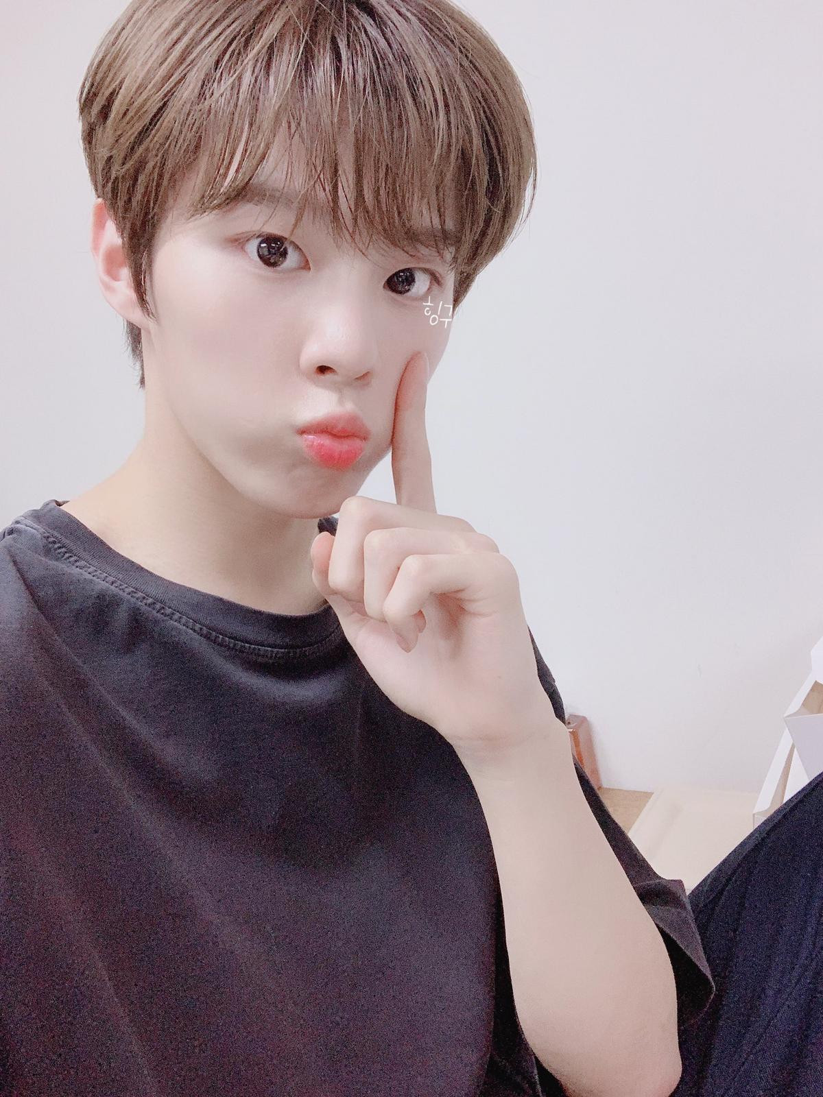 Fan phấn khích với ảnh selfie của Lee Jin Hyuk - Kim Woo Seok (X1): Tình bạn cảm động nhất 'Produce X 101'! Ảnh 8