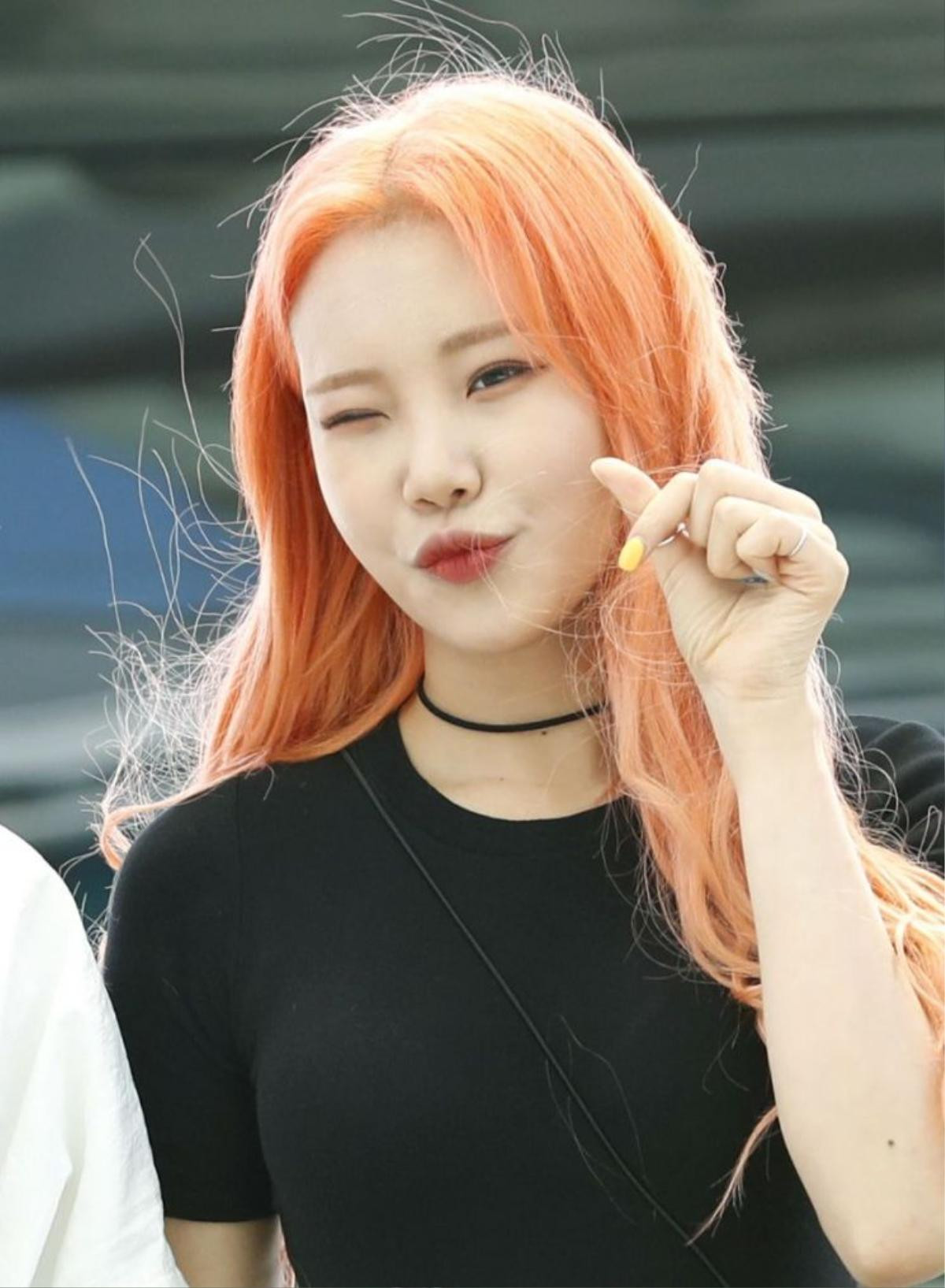 JooE (Momoland) phủ nhận hẹn hò, tiết lộ thân phận 'bạn nam' bên cạnh Ảnh 6